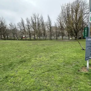 Dog green space to play off lease