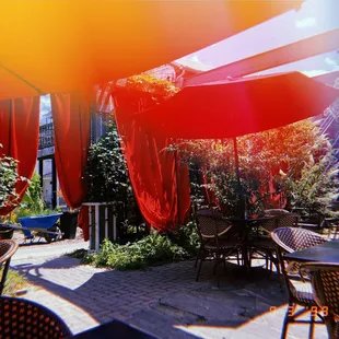 A glimpse of the patio (HUJI camera app)