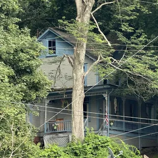 a blue house in the woods