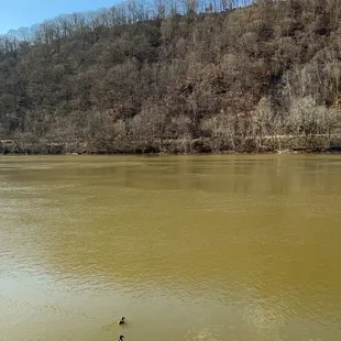 River view