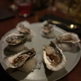 Oysters