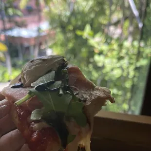 a hand holding a piece of pizza