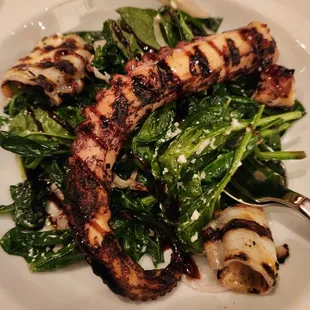 Grilled Octopus