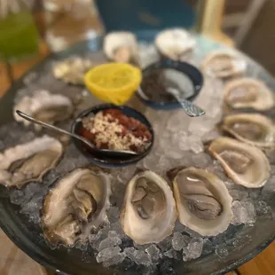 Oysters