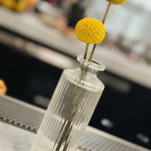 two yellow flowers in a clear vase