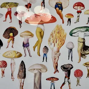 Mushrooms
