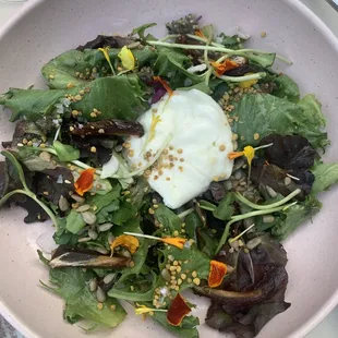 Burrata Salad