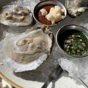 Blue Point Oysters