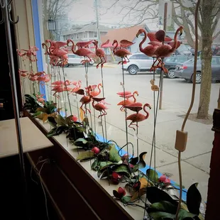 flamingos in the annex at the Guilford corner