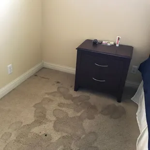 Carpet soaked with water from water heater leak
