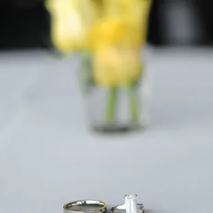 Visit my blog to see more! http://alliecoylephotoblog.blogspot.com/