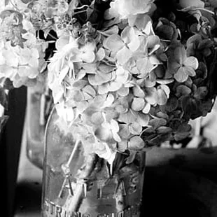 Visit my blog to see more! http://alliecoylephotoblog.blogspot.com/