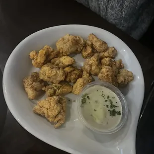 Alligator bites