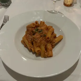 Rigatoni Bolognese