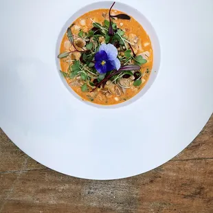 Alloy ceviche