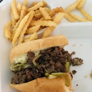 Philly cheese steak + fries