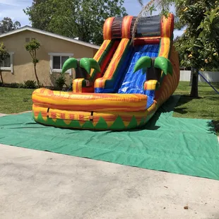 Tropical Water Slide