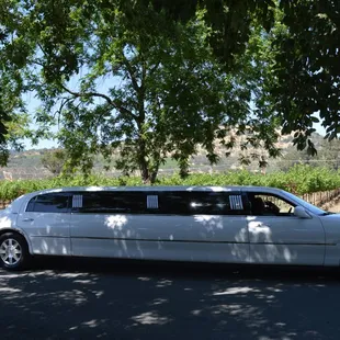 Allure Limo Wine Tours