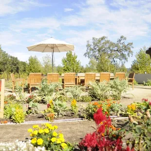 Napa Wine Tours at Hall Vineyards