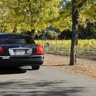 Allure Wine Tours at Sterling Winery