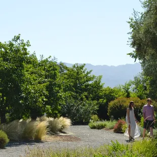 Wine tasting at Frogs Leap Winery