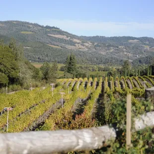 Castillo di Amerosa Winery in Calistoga