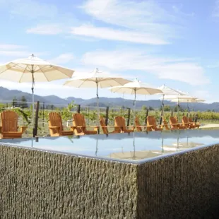 Allure Wine Tours at Hall Vineyards