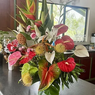 Alluvia tropical arrangement