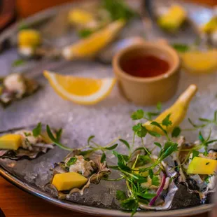 Oysters with ceviche on top. Very haphazardly plated. I recommend a bit of the salsa on top.