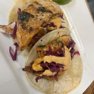 Salmon tacos