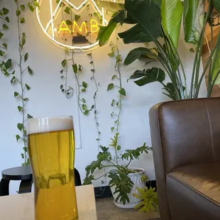 a glass of beer on a table