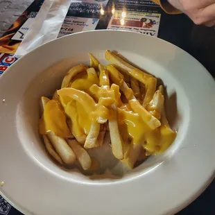 Cheese fries $4.99