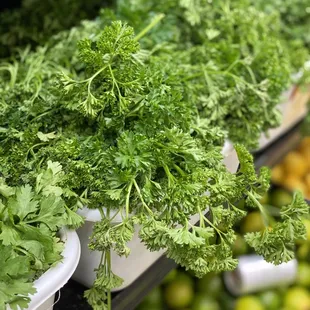 Parsley