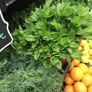 a display of fresh produce