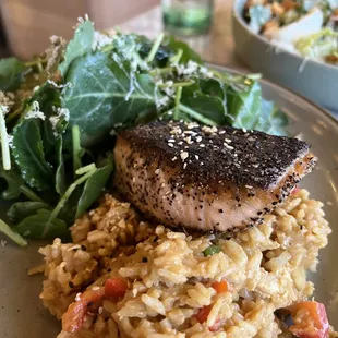 Scottish salmon lunch plate