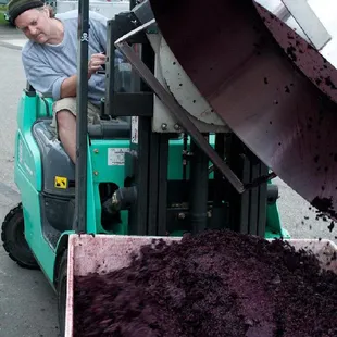 The man pushing the boulder ... winemaker Mike.