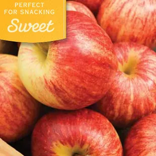 Are you ready for apple season?