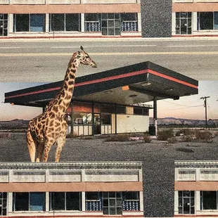 The wallpaper in the bathroom