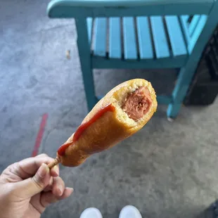 my andadog with ketchup