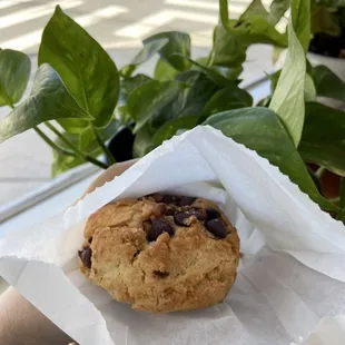 チョコチップスコーン。美味です