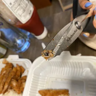 I see a giant fly with wings still attached