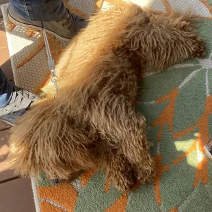 Passed out from all the beach fun