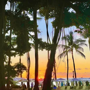 Aloha Beach Services