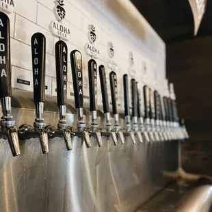13 styles of beer on tap!