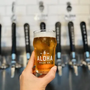 Crispy Light IPA
