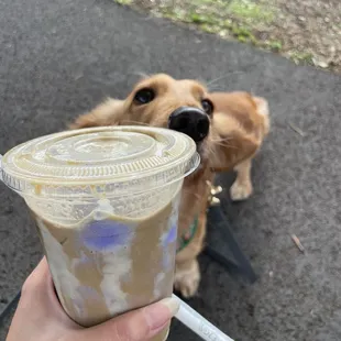 drink