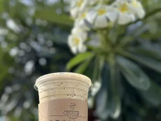 Local Joe