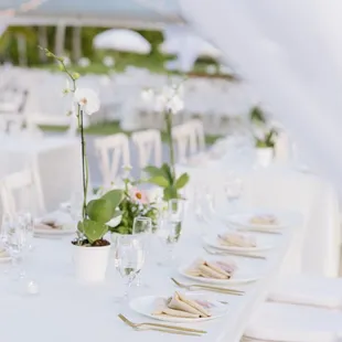 credits: @nikkirophoto