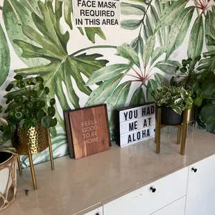 Feels good to be back