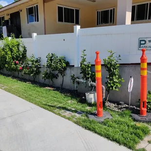 Follow the sign to the parking behind the building